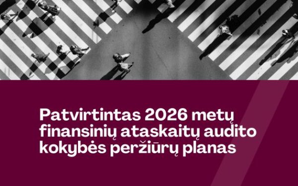 Dėl 2026 metų finansinių ataskaitų audito kokybės peržiūrų plano patvirtinimo